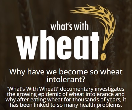 ticket a standby what's Whats for Kingston in with wheat from Tickets Ticketbooth ticket a standby what's Whats for Kingston in with wheat from Tickets Ticketbooth
